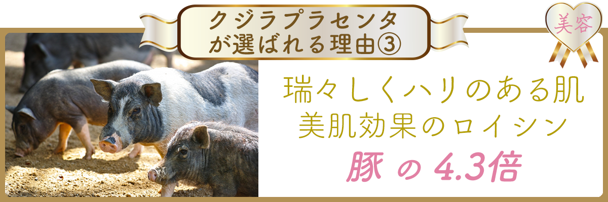 クジラプラセンタが選ばれる理由　美容　みずみずしくハリのある肌　美肌効果のロイシン　豚プラセンタの4.3倍