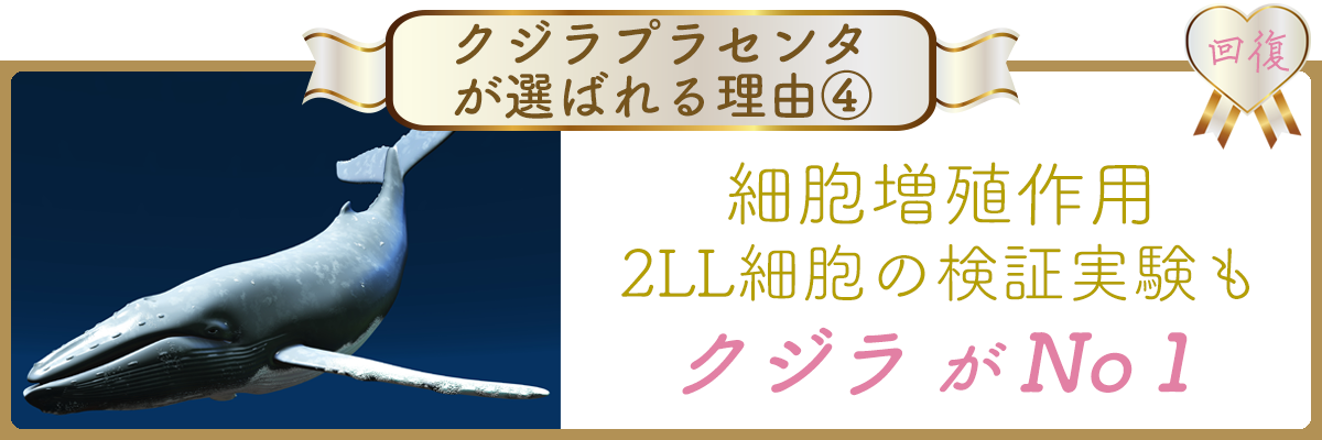 クジラプラセンタが選ばれる理由　回復　細胞増殖作用　２LL細胞の検証実験も　クジラプラセンタがランキング１位